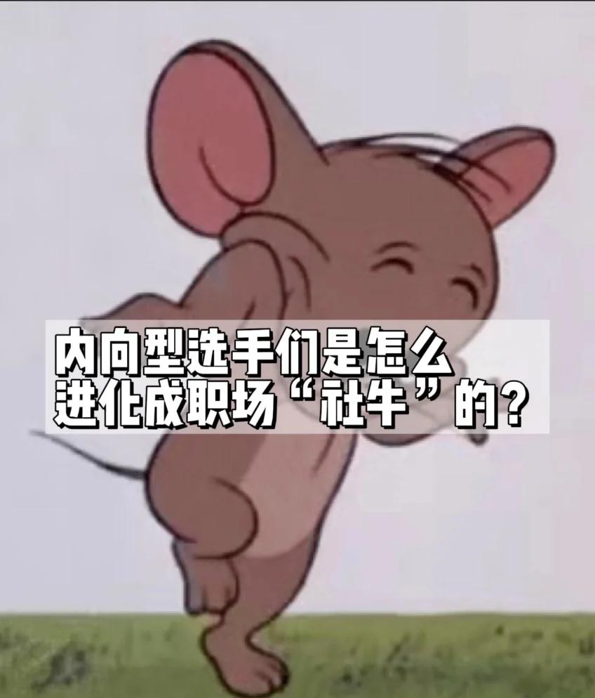 灰狼助攻团队融洽，主场破局继续稳健(灰狼组织)